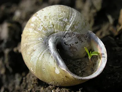 Unterbrechung: Impulse auf dem Weg zum Osterfest 2026 – Bildung und Propstei – Römisch-Katholische Kirche im Aargau – www.bildungundpropstei.ch