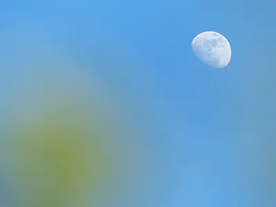 Unterbrechung: Impulse auf dem Weg zum Osterfest 2026 – Bildung und Propstei – Römisch-Katholische Kirche im Aargau – www.bildungundpropstei.ch