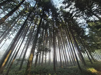 Unterbrechung: Impulse auf dem Weg zum Osterfest 2026 – Bildung und Propstei – Römisch-Katholische Kirche im Aargau – www.bildungundpropstei.ch