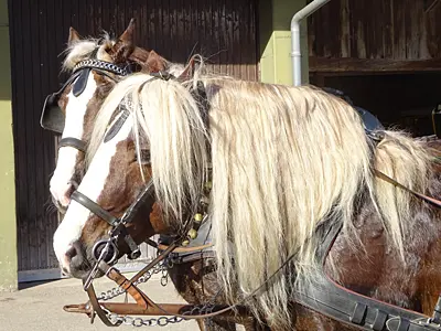 Unterbrechung: Impulse auf dem Weg zum Osterfest 2026 – Bildung und Propstei – Römisch-Katholische Kirche im Aargau – www.bildungundpropstei.ch