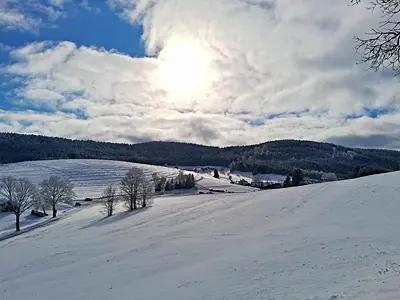 Unterbrechung: Impulse auf dem Weg zum Osterfest 2026 – Bildung und Propstei – Römisch-Katholische Kirche im Aargau – www.bildungundpropstei.ch
