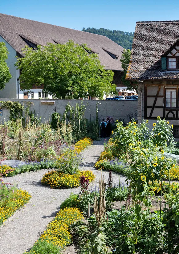 Schöpfungs-Wanderung im Rhythmus der Natur: Sonntag, 20. September 2026, 9 bis 16.30 Uhr – Fachstelle Bildung und Propstei, bildungundpropstei.ch – Römisch-Katholische Kirche im Aargau, kathaargau.ch
