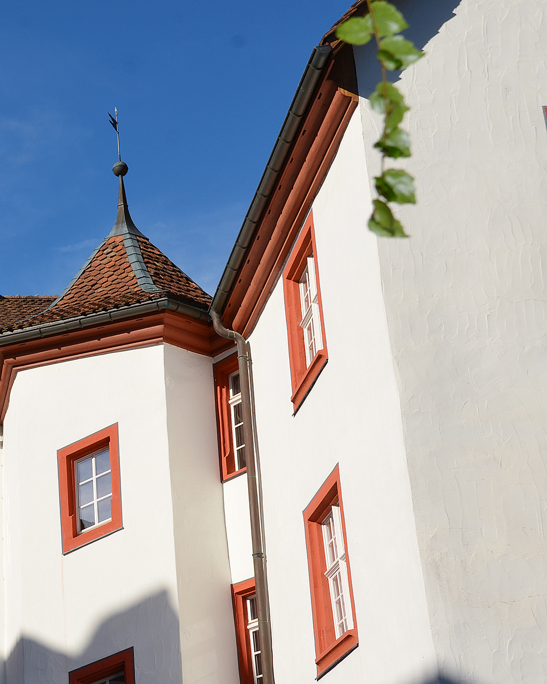50 Jahre Bildung und Propstei: Festakt zum Jubiläum am 6. September 2026 – Mehr Sinn (er)leben. Fachstelle Bildung und Propstei, bildungundpropstei.ch – Römisch-Katholische Kirche im Aargau, kathaargau.ch