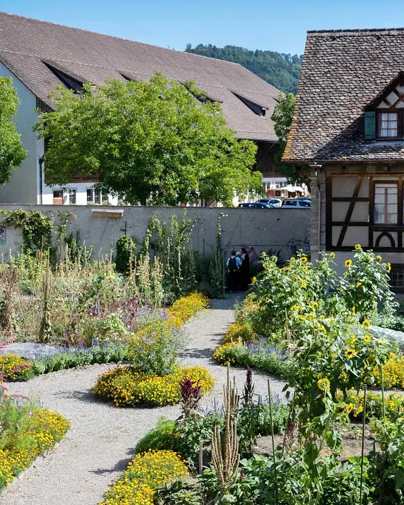 Schöpfungs-Wanderung im Rhythmus der Natur: Sonntag, 20. September 2026, 9 bis 16.30 Uhr – Fachstelle Bildung und Propstei, bildungundpropstei.ch – Römisch-Katholische Kirche im Aargau, kathaargau.ch